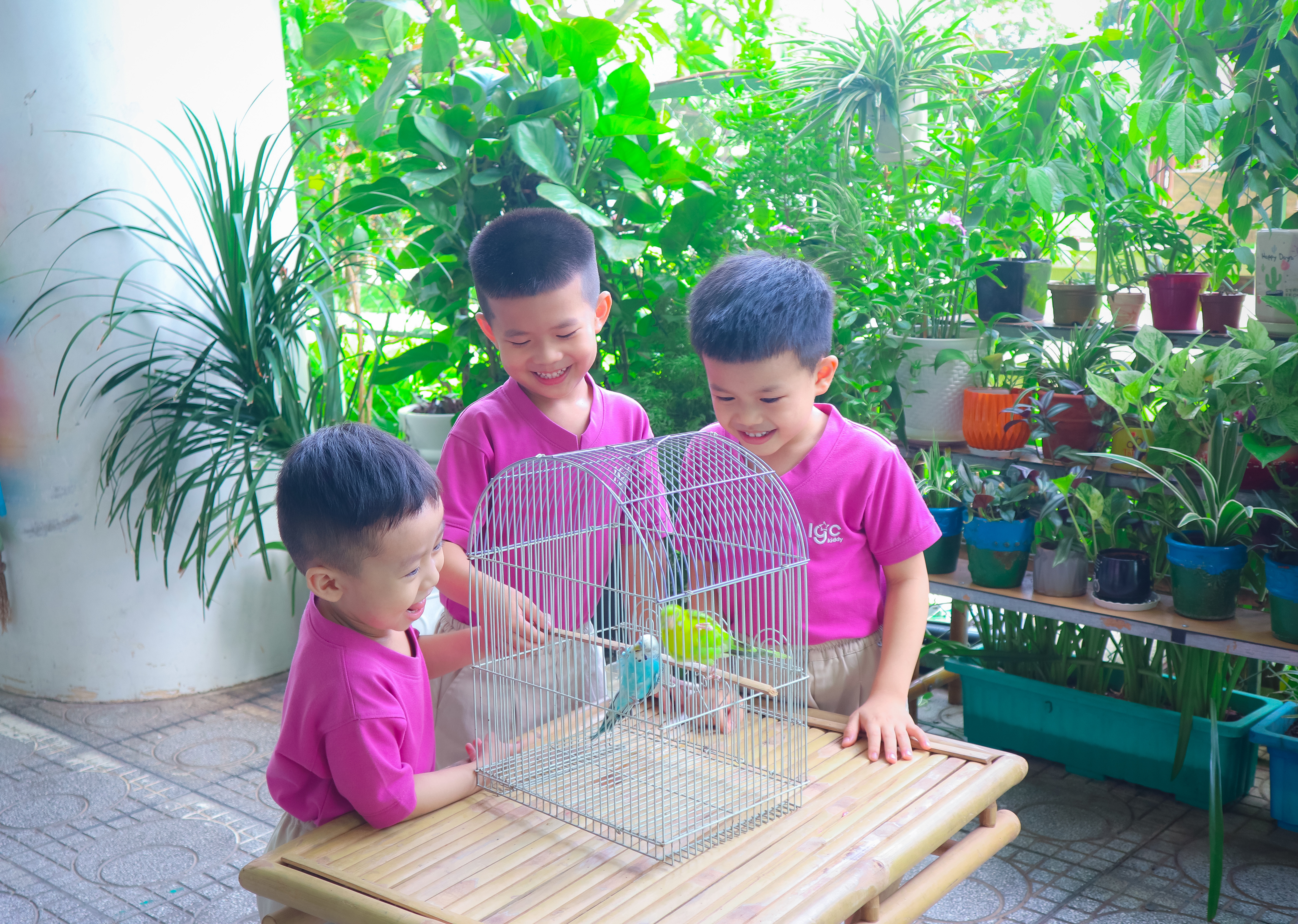 Chương trình chính khóa